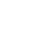 Logo oficial de Decidim Sant Celoni